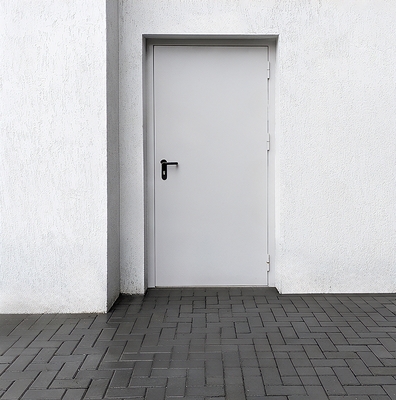 Однопольная дверь в МКД Однопольная дверь в МКД