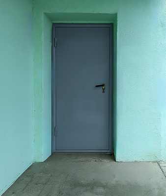 Дверь для жилого дома