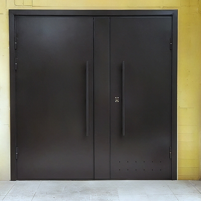 Двупольная дверь с ручками-скобами