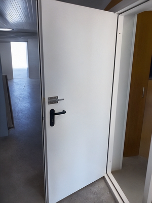 Огнестойкая глухая дверь