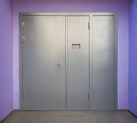 Дверь для подъезда МКД Дверь для подъезда МКД