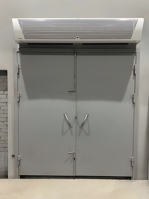 Двустворчатая серая дверь