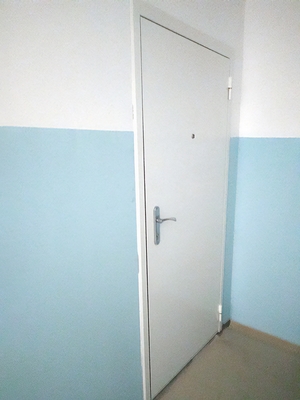 Белая глухая дверь