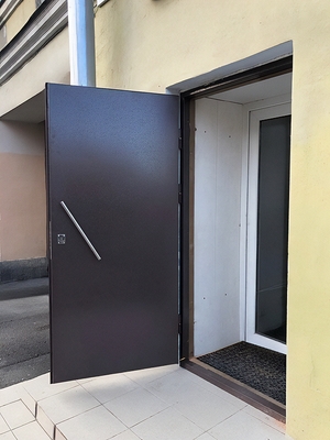 Порошковая дверь с ручкой-скобой