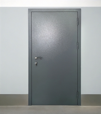 Входная серая дверь