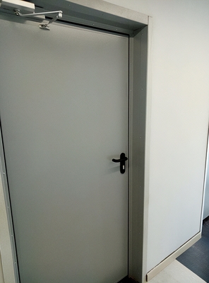 Однопольная дверь с доводчиком