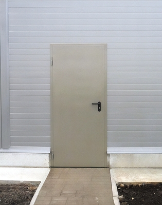 Одностворчатая глухая дверь Одностворчатая глухая дверь