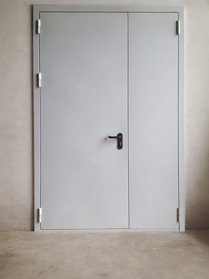 Металлическая огнестойкая дверь Металлическая огнестойкая дверь