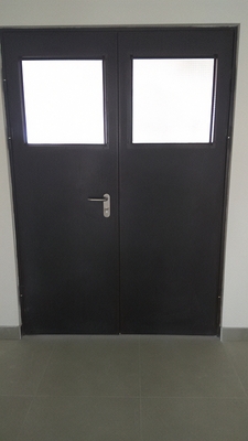 Двупольная дверь со стеклами Двупольная дверь со стеклами