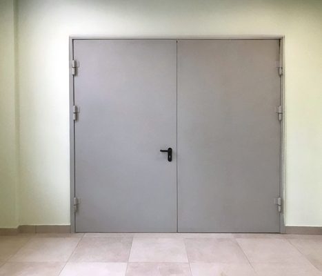 Равностворчатая дверь ei-60 Равностворчатая дверь ei-60