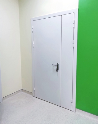 Глухая полуторная дверь Глухая полуторная дверь