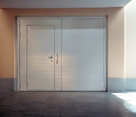 Ворота с дверью