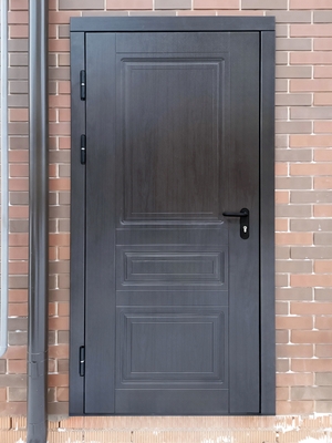 Огнезащитная дверь с МДФ Огнезащитная дверь с МДФ