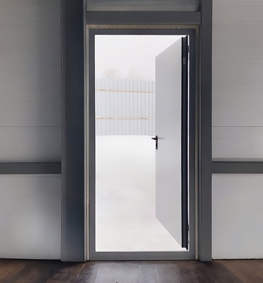 Дверь однопольной конструкции Дверь однопольной конструкции