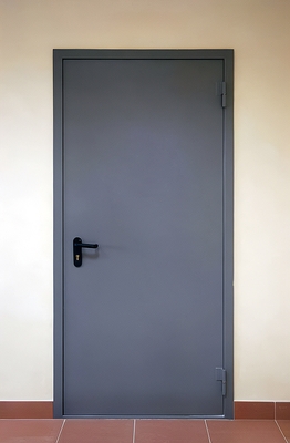 Серая металлическая дверь ei-60 Серая металлическая дверь ei-60