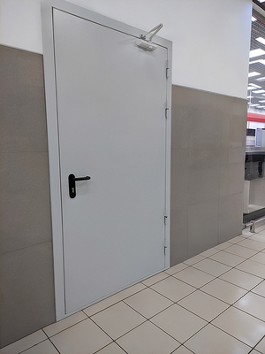 Дверь EI 60 с доводчиком Дверь EI 60 с доводчиком