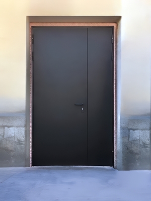 Коричневая глухая дверь EI 60 Коричневая глухая дверь EI 60