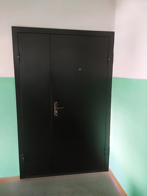 Металлическая тамбурная дверь Металлическая тамбурная дверь