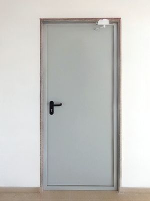 Стандартная пожаростойкая дверь Стандартная пожаростойкая дверь