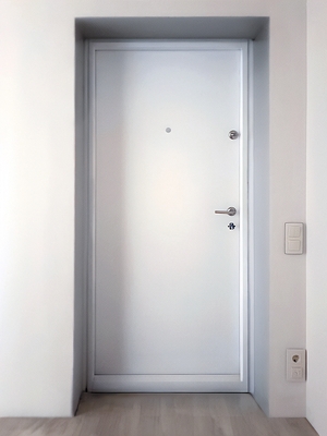 Техническая металлическая дверь