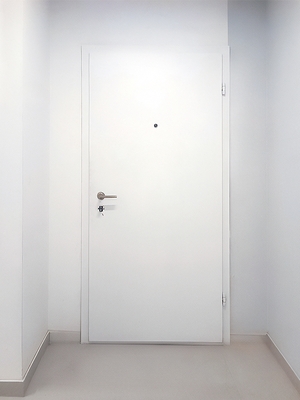 Техническая металлическая дверь